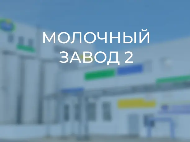 МОЛВЕСТ.webp