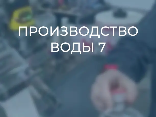 полан.webp